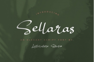 Sellaras // Elegant Script Font Font Download