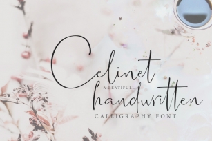 Celinet / Calligraphic Font Font Download