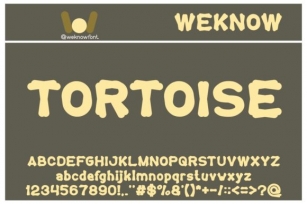 Tortoise Font Download