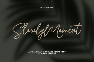 Slowly Moment Clean Monoline Script Font Font Download