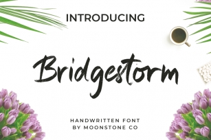 Bridgestorm Modern Handwritten Font Font Download