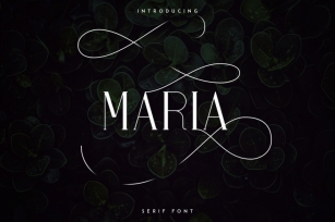 Maria Serif Font -50% Font Download