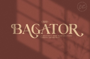 Bagator - Classic Serif Font Font Download