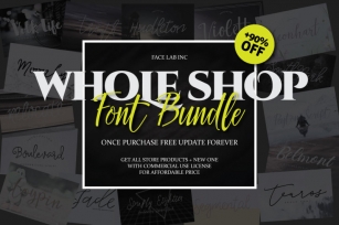 Font Bundle - Shop Bundle Font Download