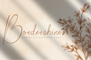 Bordershine Script Font Download