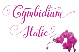 Cymbidium Italic Font Download