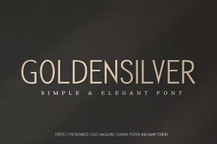 Golden Silver Agency Font Font Download