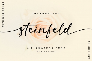 Steinfeld a Handwritten Script Font Download
