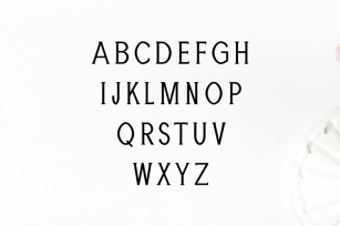 Adney Slab Serif Typeface Font Download