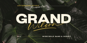 Grand Wilson Font Download