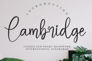 Cambridge Font Download