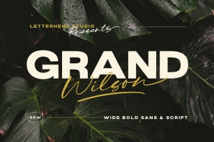 Grand Wilson - Font Duo Font Download