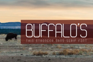 Buffalo's Font Download