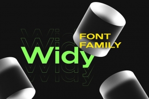 Widy Font Family Font Download