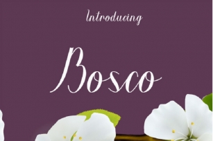 Bosco Font Font Download