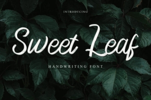 Sweet Leaf Font Download