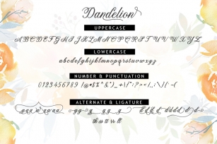 Dandelion Script Font Download