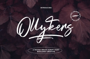 Ollykers Brush Script Font Download