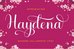 Haydena Font Download