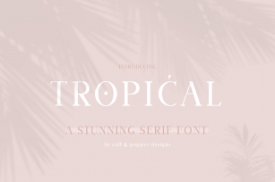 Tropical Serif Font Download