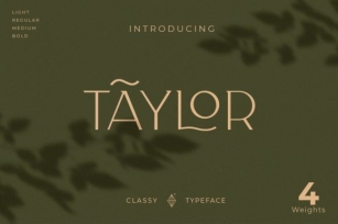 Taylor Font Download