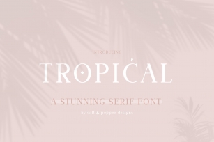 Tropical Serif Font Download