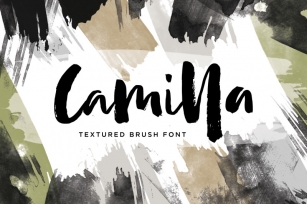 Camilla - Textured Brush Font (3 Font) Font Download