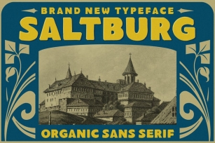 Saltburg - Organic Sans Serif Font Download