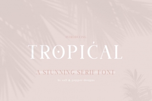 Tropical Serif Font Font Download