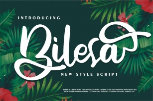 Bilesa | New Style Script Font Download