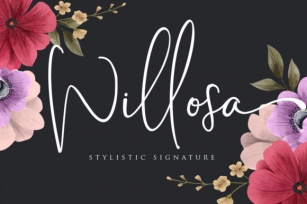 Willosa Font Download