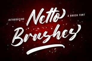 Netto Brushes Font Download