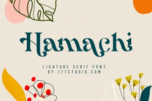 Hamachi Font Download