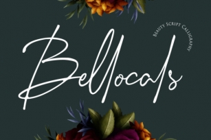 Bellocals Font Download