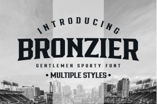 Bronzier Font Family Font Download