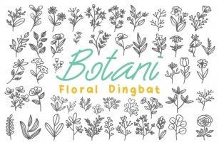 Botani Font Download