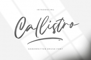 Callistro || BRUSH FONT Font Download