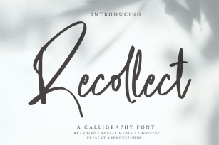 Recollect - Calligraphy Font Font Download