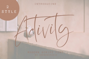 Activity Modern Script Font Font Download