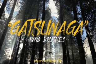 Gatsunaga Hand Brushes Font Download