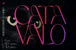 Catavalo - Modern Display Family Font Download