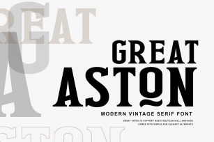 Great Aston Business Serif Font Font Download