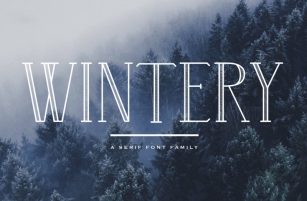 Wintery - A Serif Font Family Font Download