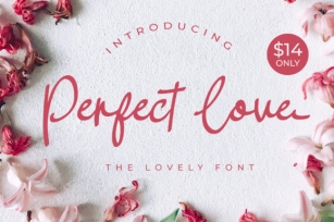 Perfect Love Font Download
