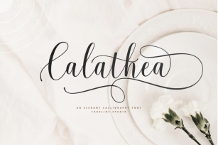 Calathea - Elegant Calligraphy Font Font Download