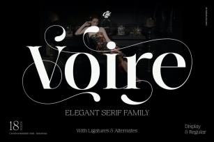 Voire - Elegant Beauty Serif Family Font Download