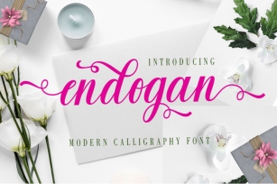 Endogan Font Download