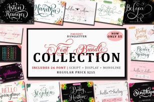 Bundles Collection Font Download
