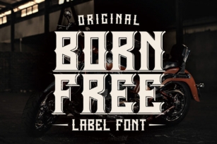 Born Free Font Download