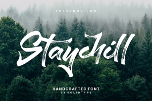 Staychill Brush Font Font Download